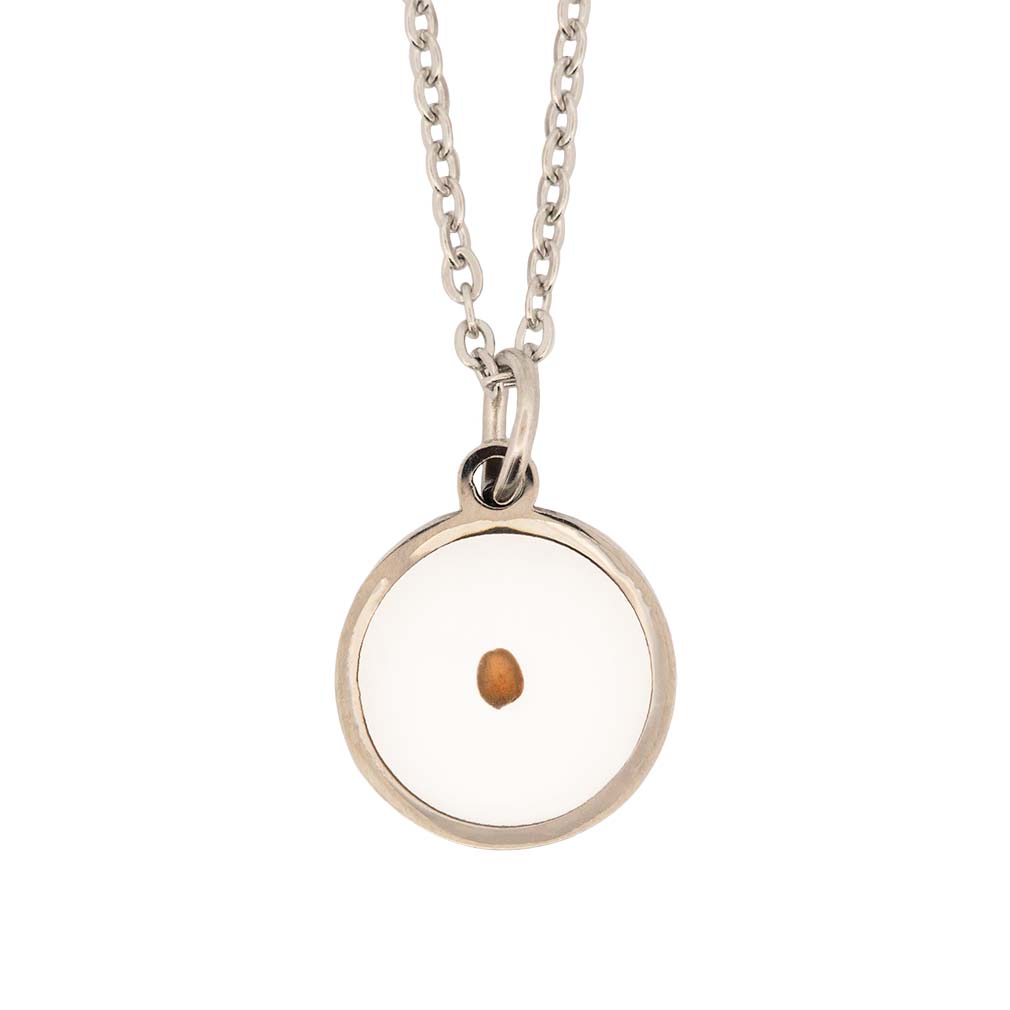 Necklace with deals a mustard seed